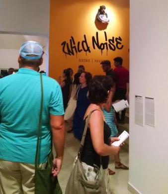 Ruido salvaje / Wild Noise, Obras del Bronx Museum of Arts en el Museo Nacional de Bellas Artes.