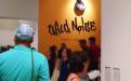 Ruido salvaje / Wild Noise, Obras del Bronx Museum of Arts en el Museo Nacional de Bellas Artes.